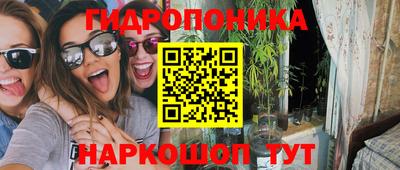 spice Тара